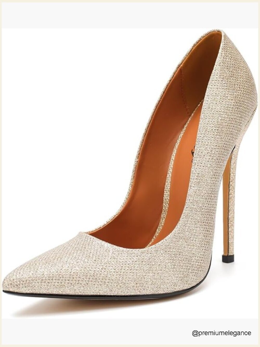 Stiletto Heels Pumps Women's 5.7” High Heel Pointed Toe Dress Wedding Party